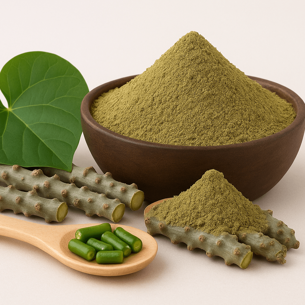 Top Exporter in India | Glee Impex